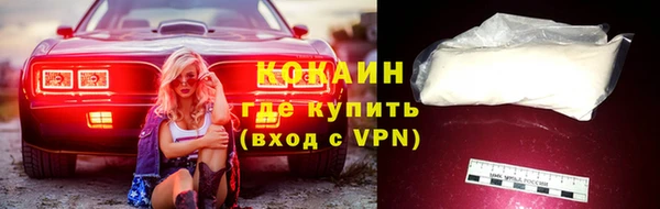 стаф Сосновка