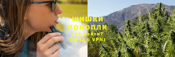 apvp Алексин